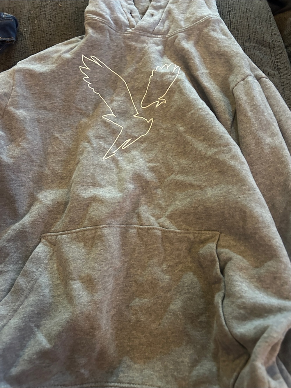 Bird Hoodie - Not a Pet Product